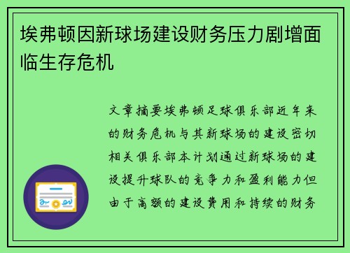 埃弗顿因新球场建设财务压力剧增面临生存危机